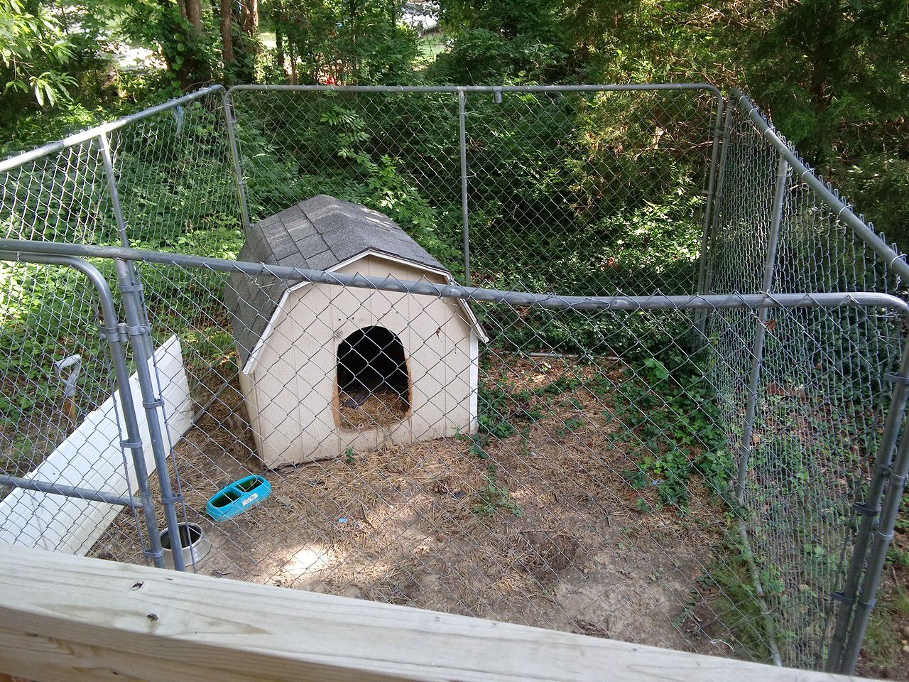Dog house and a kennel