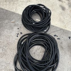 Hose 