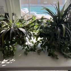 (Set Of 2)  Faux Plant Arrangements