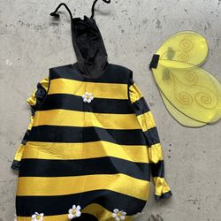 Bumblebee Halloween Costumes Kids Std Med