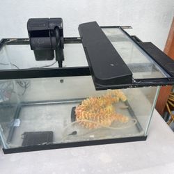 10 Gallon Aquarium Kit With Plants And Decorations