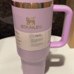 Purple Stanley 