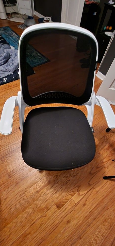 Black And White Office Chair