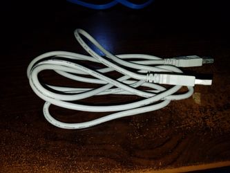 Type A to A male cable about 6ft. long