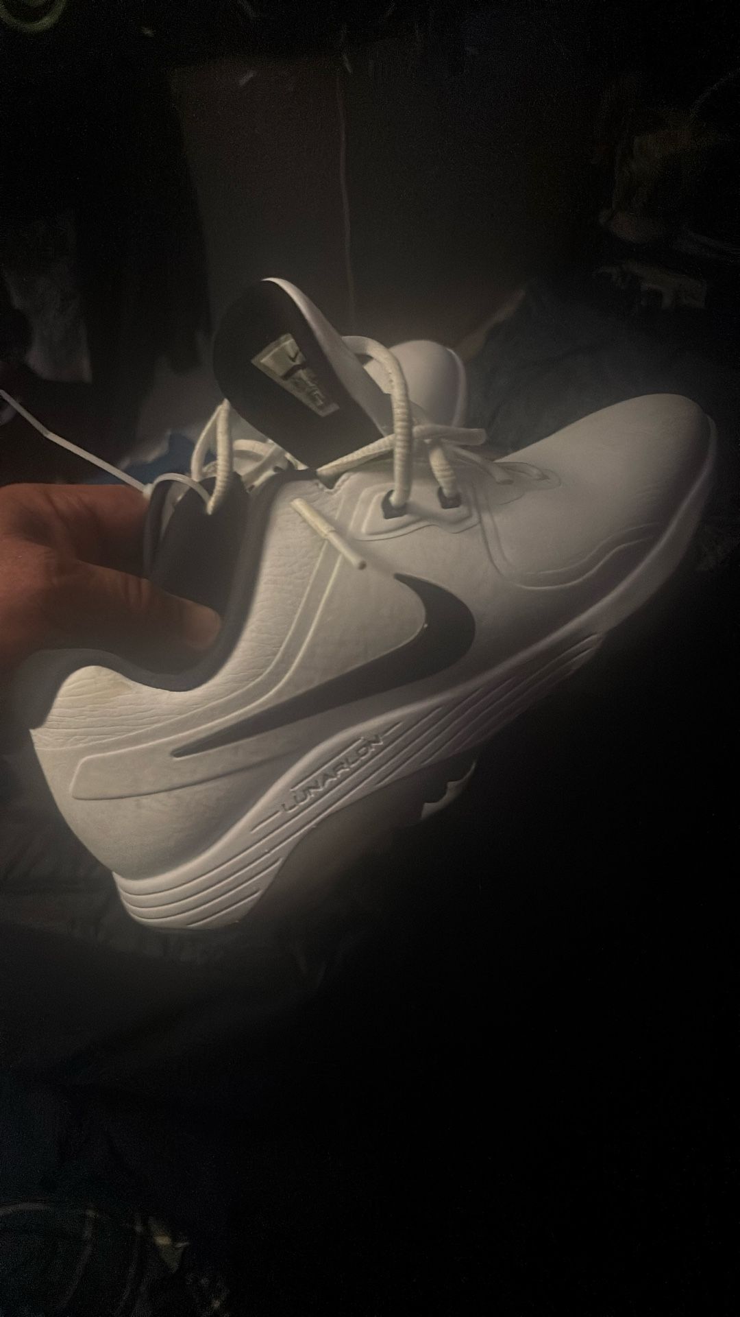 Nike 10.5 Golf Shoe Fissile Ross