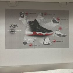 Air Jordan Two Trey
