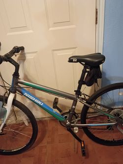 24" bicycle