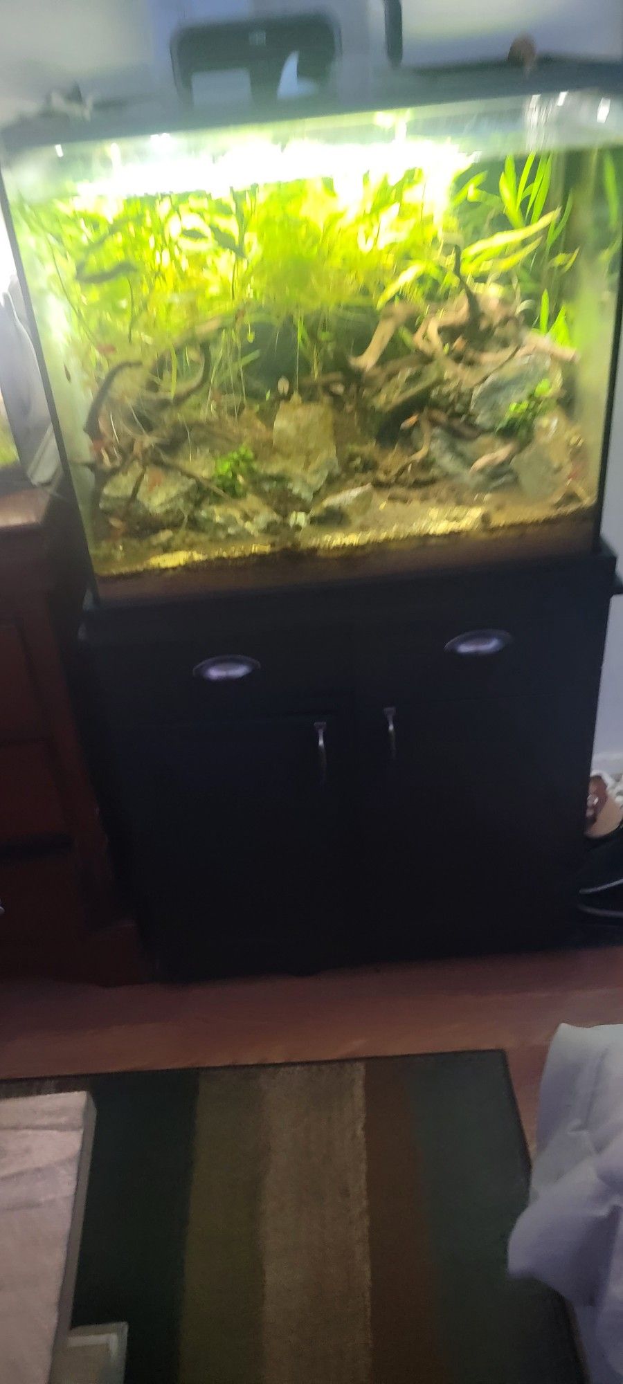 Fluval Shaker 44 Gallon Kit