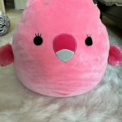 Large pink squish Bird