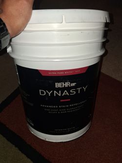 Dynasty