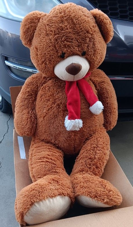 Teddy Bear