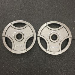  Fitness Gear Olympic Weight Plates (25#x2=$50)