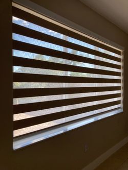 Zebra Window Blinds —Large Window