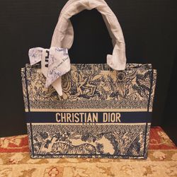Ladies Hand Bag