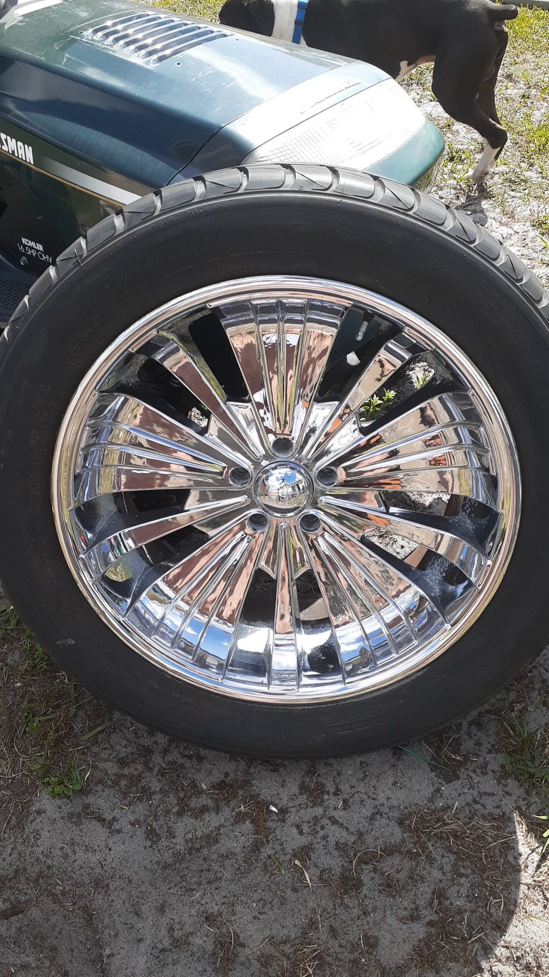 R o z z i 22 chrome
