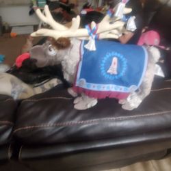 Frozen Toy