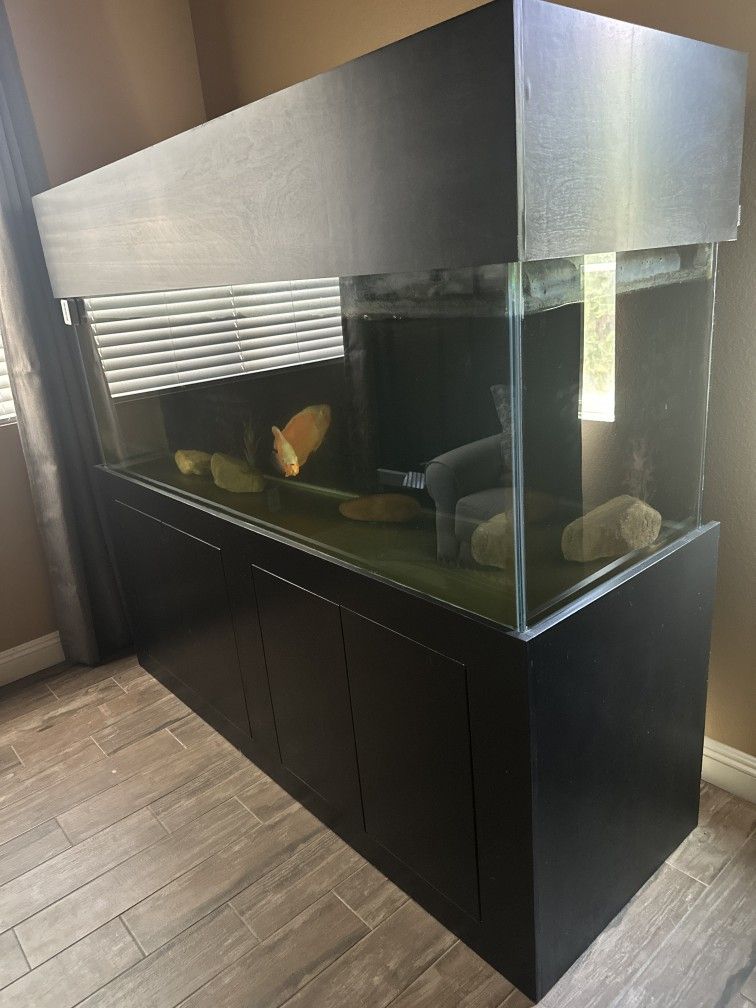 6'Fish Tank With Black Cabinet 180 Gallons