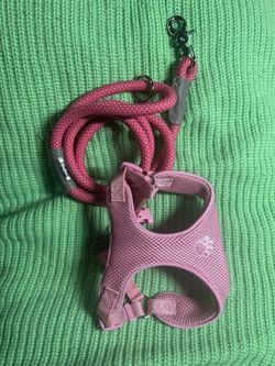 Puppy harness and Leash