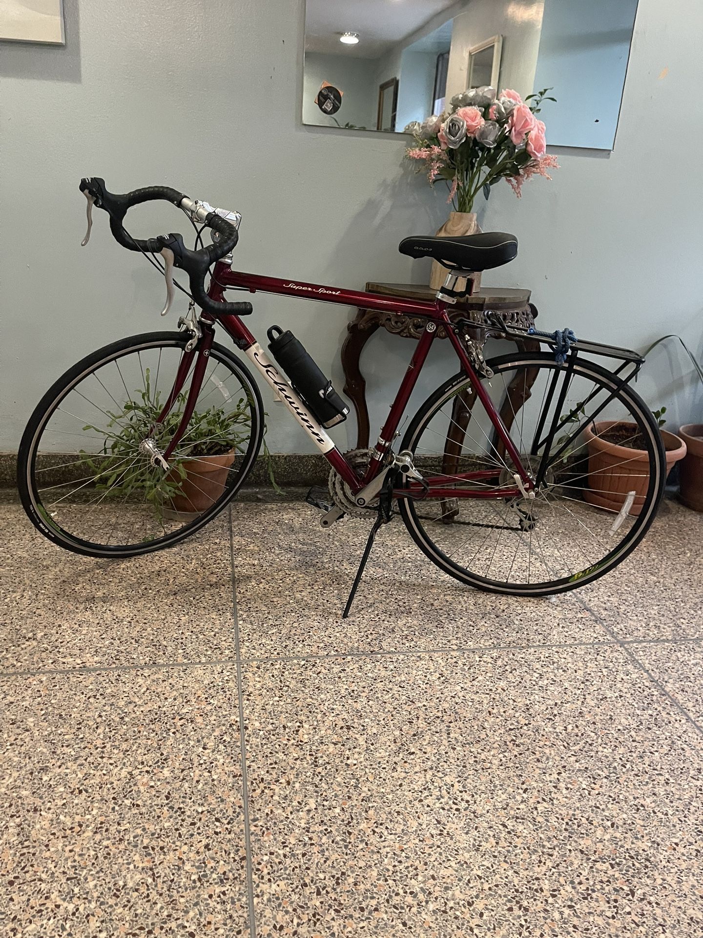 Schwinn Bike