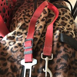 Pet Car Leash