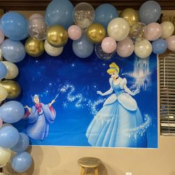 Cindarella birthday theme