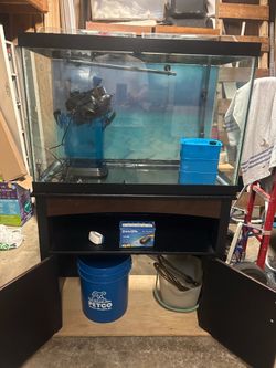 60 Gallon Fish Tank