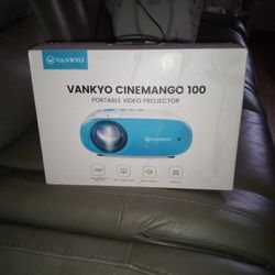 Vankyo Projector 