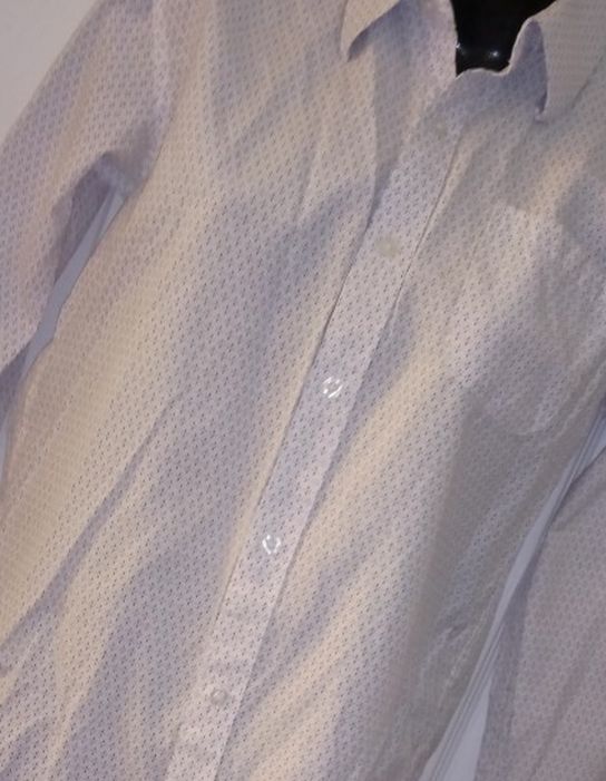 Vittorino Signature Collection Button Down Shirt