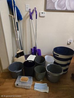 Assorted  cleaning  supplies.