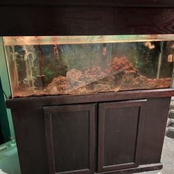 55 Gal Salt Water Fish Tank And Cabinet