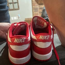Red Nike Dunks