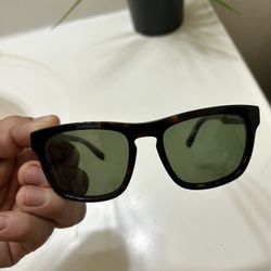 Ferragamo Sunglasses 
