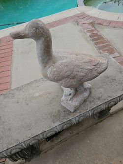 Duck Status, Solid Cement,  39 lbs.