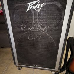 Bocina Y Guitarra 