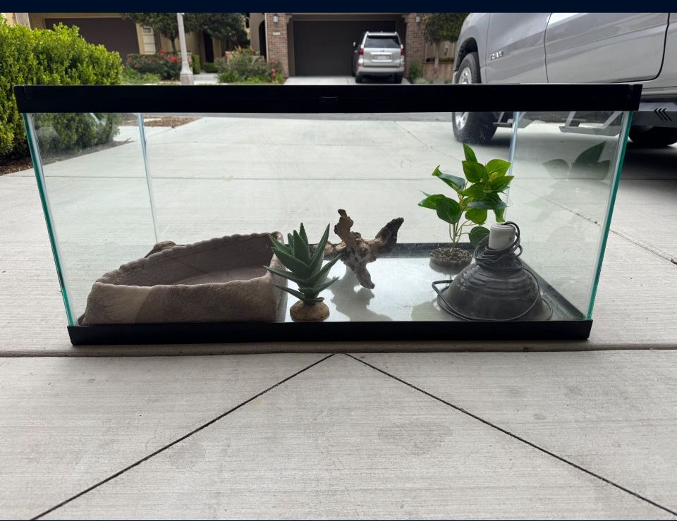 Reptile Tank, Turtle, Tortoise Aquarium. UV light.