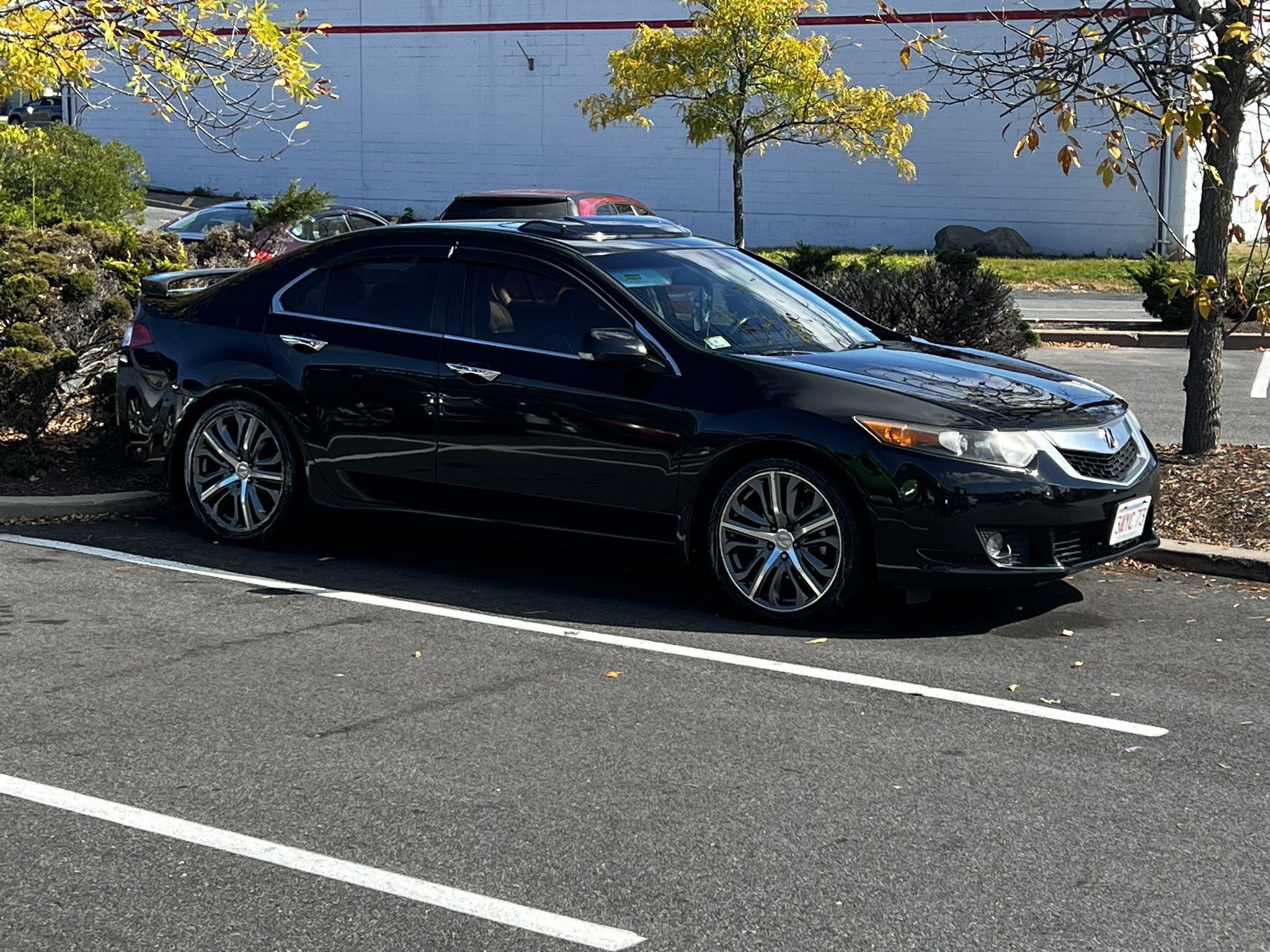 2010 Acura TSX