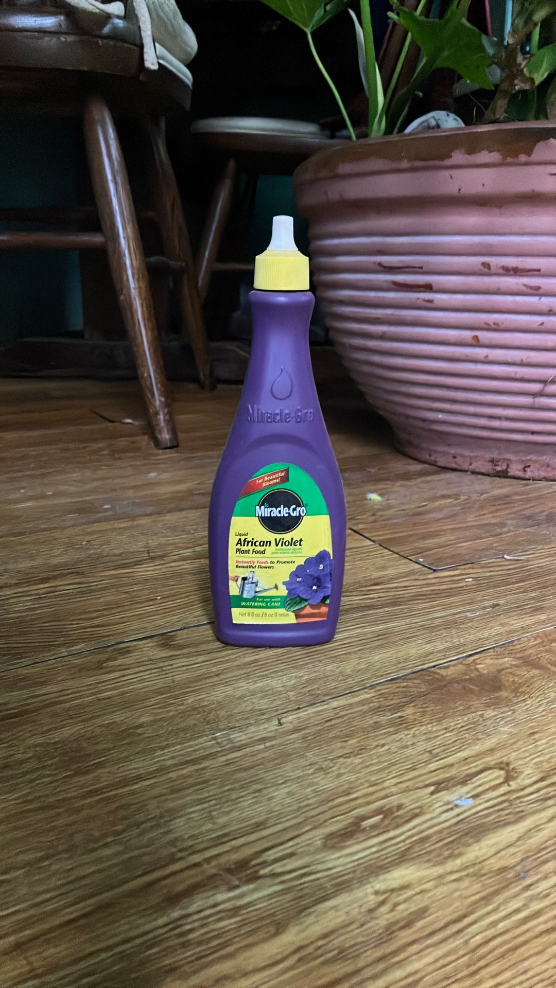 Miracle Grow African Violet Plant Food