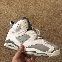 Jordan 6s (Cool grey)