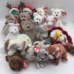 Beanie Babies TY -Hang Tag 10th Gen & Tush Tag 11th Gen Set of 17 Babies