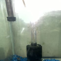 20-25. Gallon Fish Tank 