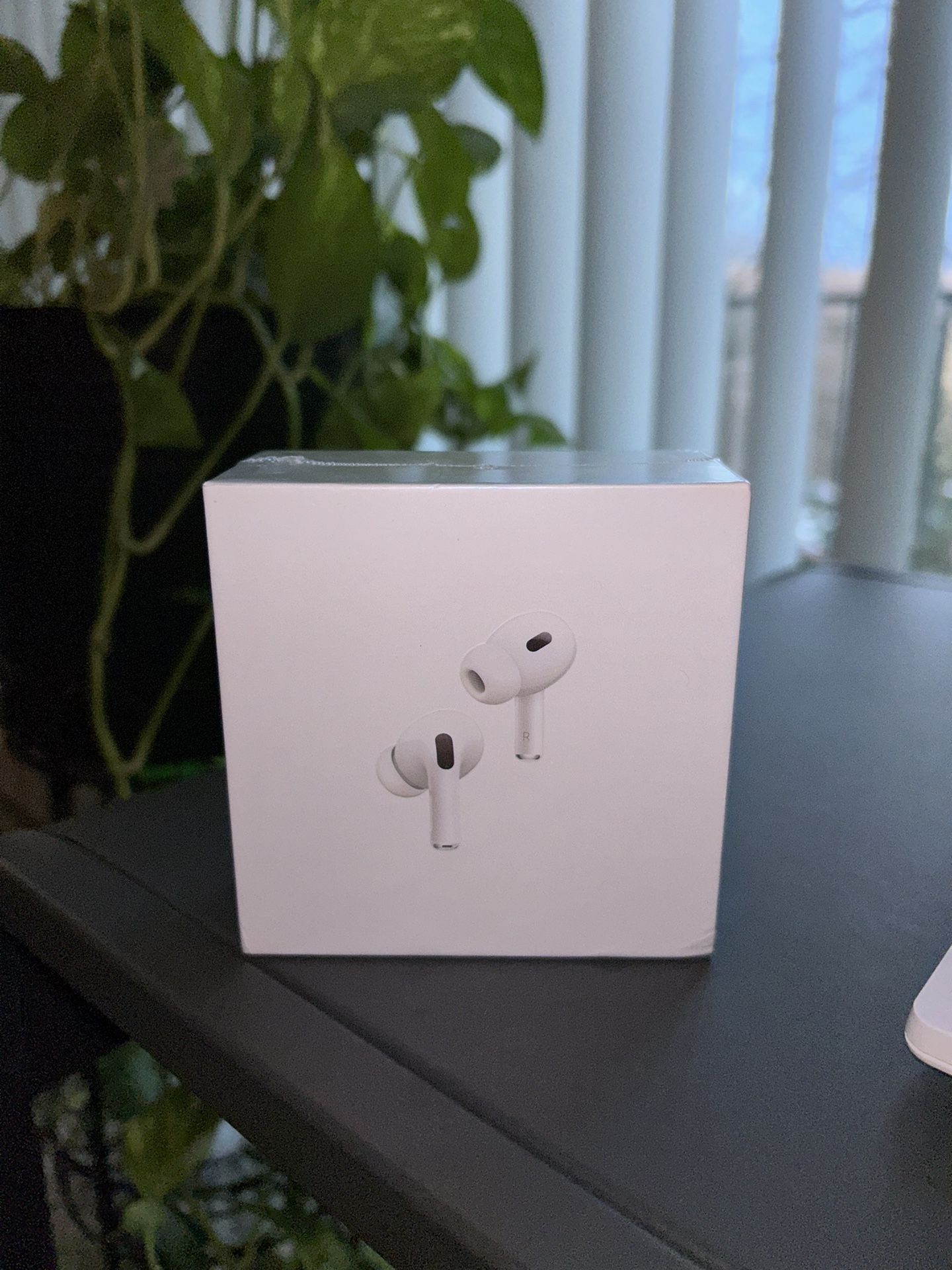 AirPod Pro2 (2nd Gen)