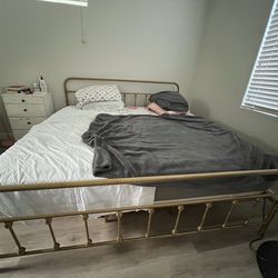 Couches and king size bed