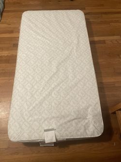 Sealy Crib Mattress