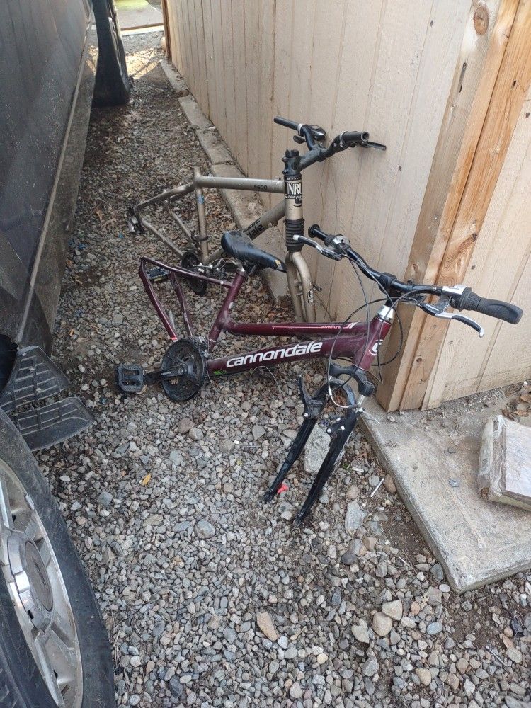 Cannondale Bike Frames