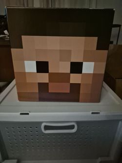 Minecraft Box Head Costume