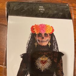 Day Of The Dead Veil