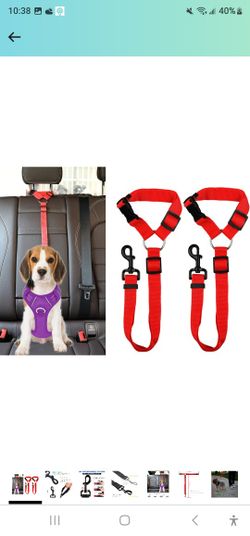 Safety Strap For Dogs