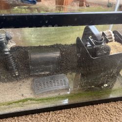 10 Gallon Fish Tank