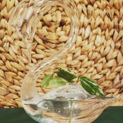 Vintage Glass Swan Propagation Bottle