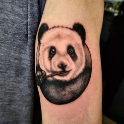 Animal Portrait Tattoo Suplies Ink 